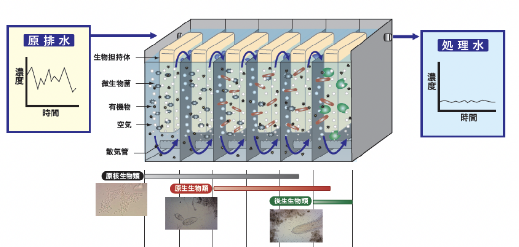 高鹽廢水生化技術